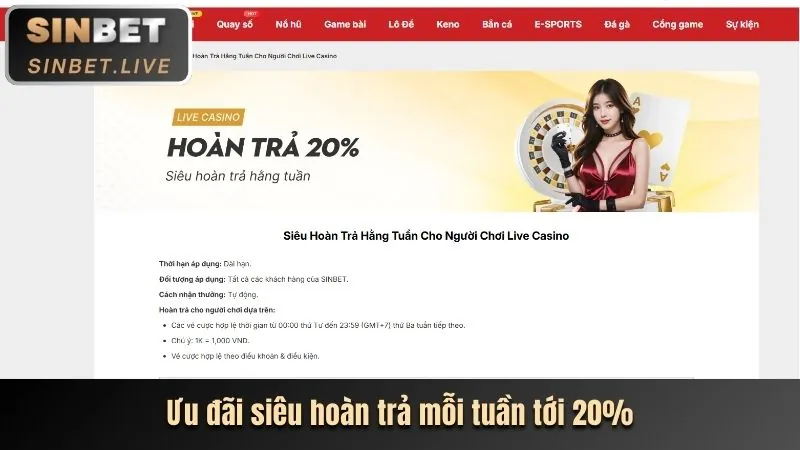 Hoàn trả cao cấp VIP Win55